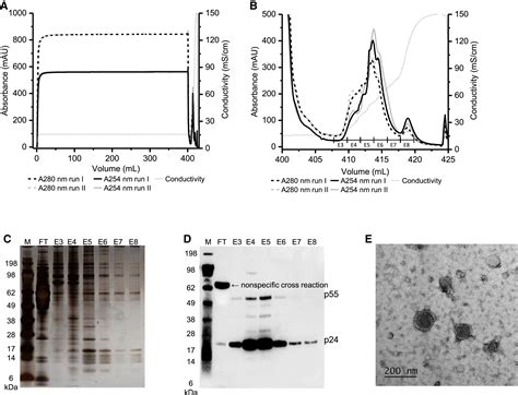 lv clarification|Lentiviral Vector Purification Using Nanofiber Ion.